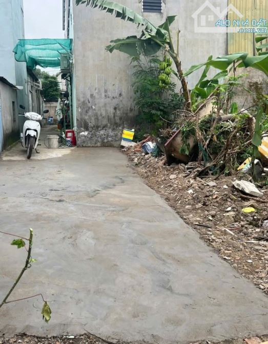 Đất gần chợ Tân Bình, phường Tân Bình, TP Dĩ An - 1