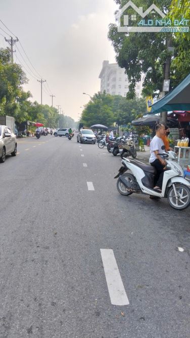 Lô góc trâu quỳ gia Lâm viện rau chủ cần bán gấp - 1