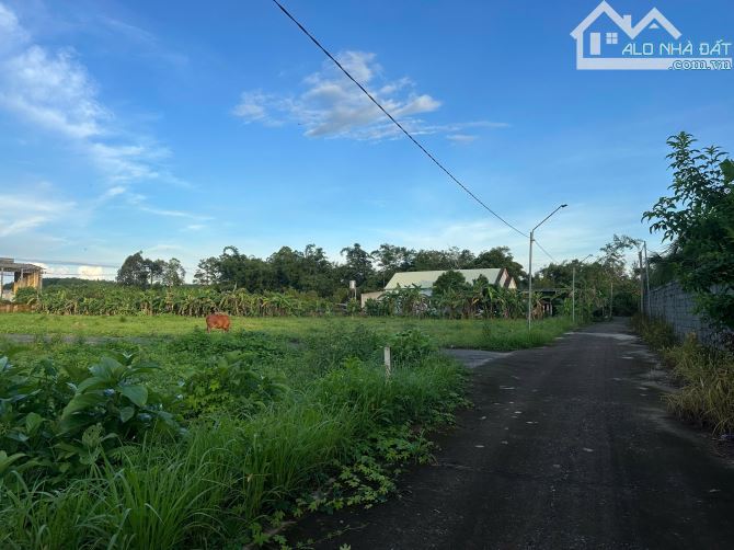 🌿 BÁN ĐẤT THỔ CƯ ẤP 6 – XÃ TRỊ AN, VĨNH CỬU 🌿 - 1