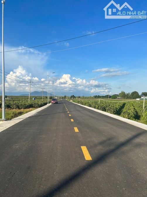 1482m2 Nguyễn Minh Châu Tân Tiến LaGi Đường Nhựa Giá Chỉ 1,8 Tỷ - 1