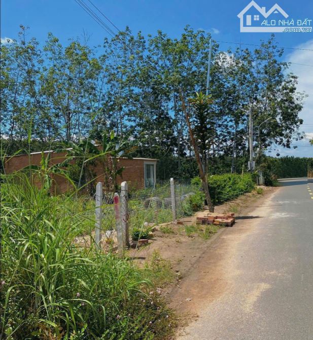 Đất chính chủ cần bán gấp trong tuần - 1