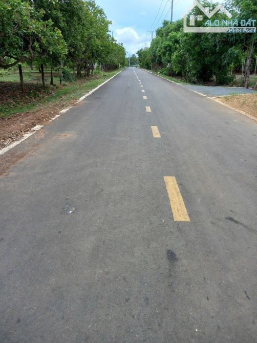 MỘT LÔ ĐẤT ĐẸP NHẤT THỊ TRẤN ĐẤT ĐỎ  MẶT TIỀN ĐOÀN CHUNG CÒN,  Dt 1008 m 18,3 m mặt tiền l - 1
