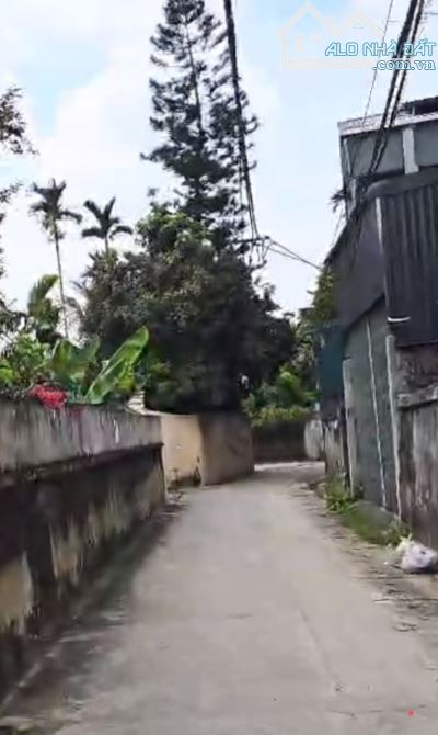 NHỈNH 3 TỶ ‼️ Bán ĐẤT Ninh Xá cạnh Vạn 3, Thanh Trì diện tích 42m2, Ô tô - 1
