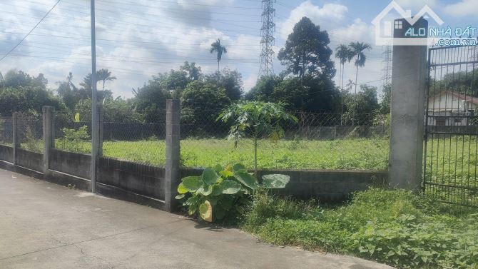🔥 BÁN ĐẤT 2.767m² CÓ 100 THỔ - TẠI AN PHƯỚC, LONG THÀNH – GIÁ 13 TỶ 🔥 - 1