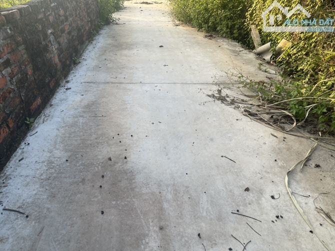 Chi chủ cần bán gấp lô đất Quang tiến giá bất chấp - 1