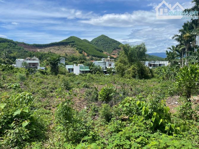 Bán lô đất trồng cây lâu năm, 3850m2 sát đường DT602, gần khu thương mại tự do, gần bà nà - 1
