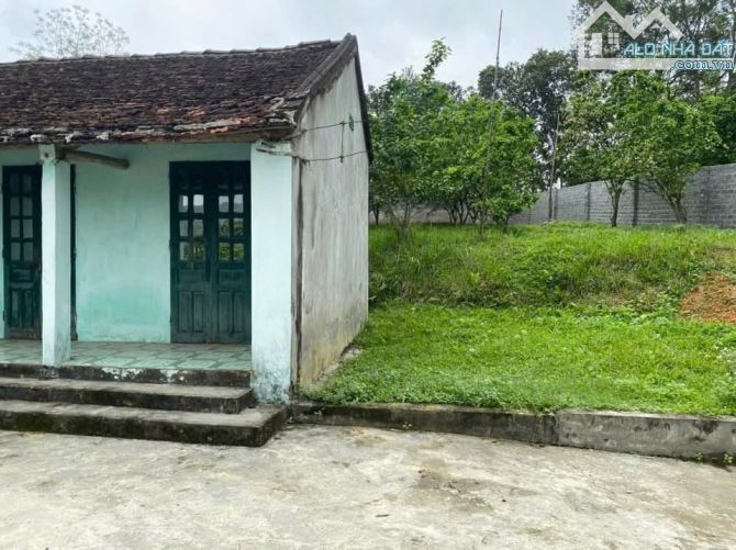 Chỉ hơn 2 triệu! 3.871m² lô góc 2 mặt đường, đường 7m, view toàn bộ cánh đồng - 1