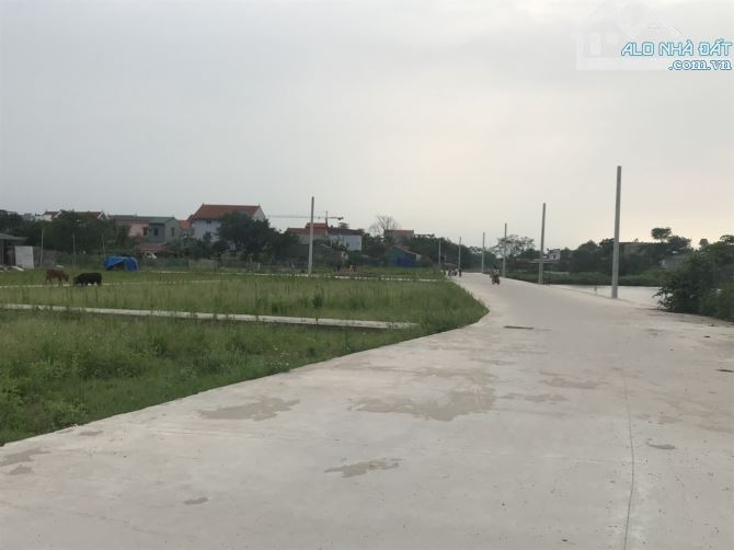 Khu CN kết hợp KĐT lớn nhất Nam Hà Nội- Đầu tư - 1