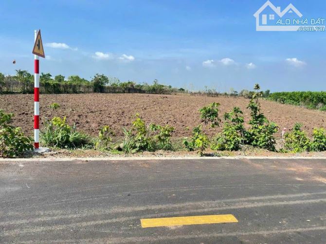 MẶT TIỀN Phạm Duy Trinh - TT Đất Đỏ - Đất Đỏ - BRVT 🌈Dt: 948m2 ngang 11x93 phủ hồng toàn - 1