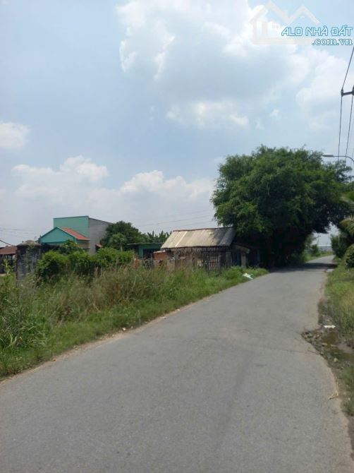 Bán đất vườn 1 xẹt ngắn đường Bến Than xã Tân Thạnh Đông Củ Chi TPHCM, DT: 4000m2. - 1