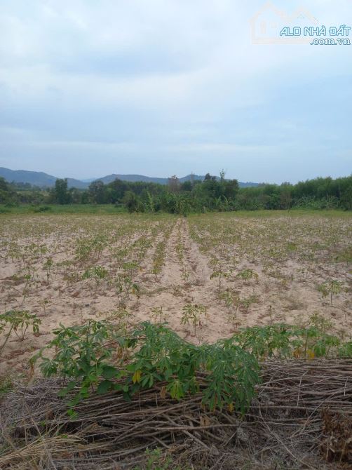 6 sào cây lâu năm có  100m mặt tiền đường nhựa, cách Ủy ban và trường học 1,5 km - 2