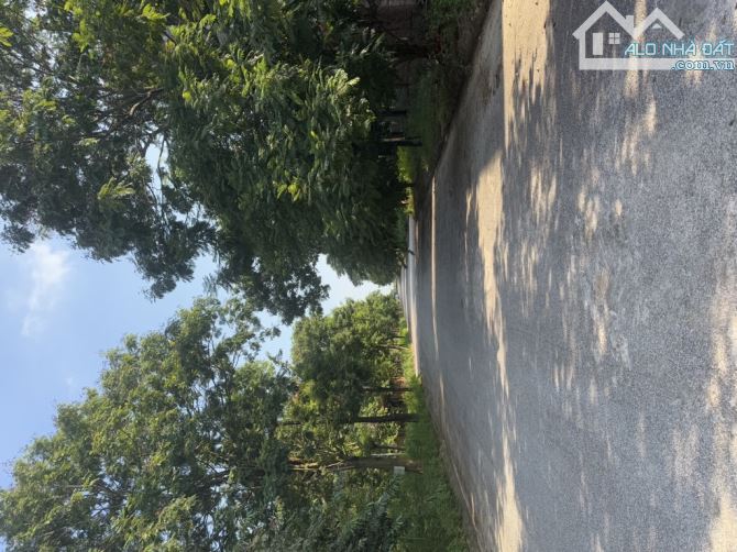 BIỆT THỰ TẠI KHU THỊ TRẤN QUANG MINH SẴN NHÀ XÂY THÔ 3 TẦNG ĐẴNG CẤP ĐƯỜNG RỘNG VĨA HÈ - 2