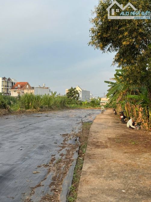 Cơ Hội Kinh Doanh: Cho Thuê Đất 2.500m² Full Thổ – Mặt Tiền Hoàng Quốc Việt, Cần Thơ - 2