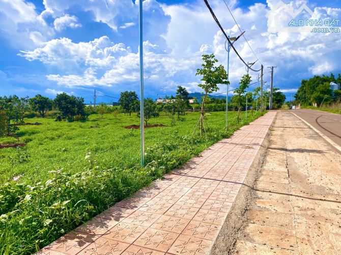 Đất Mặt Tiền Bình Thạnh - Lâm Hà: Vị Trí Vàng, Pháp Lý Chuẩn, Sổ Riêng, Giá Chỉ Hơn 1 Tỷ - 2