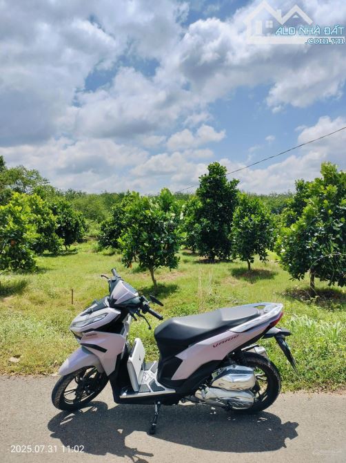 Cần bán gấp lô đất xào mặt tiền đường nhựa, 2000m2 bao phí giá tốt: 980 triệu - 2