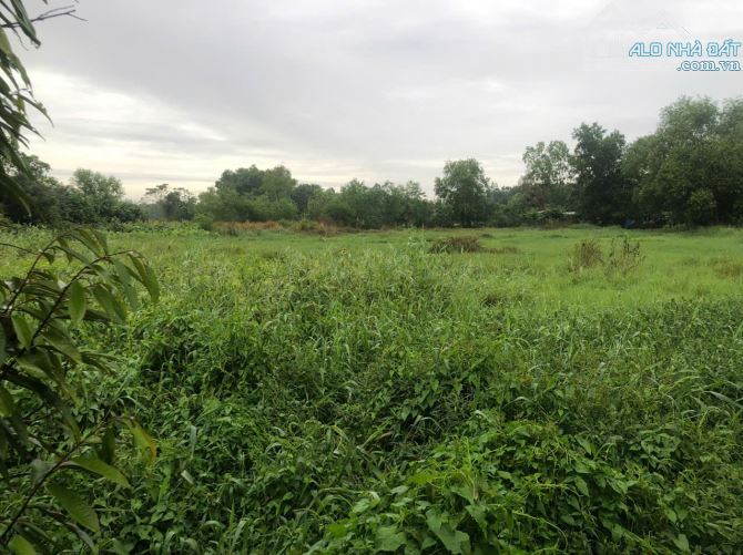 MUỐN BÁN TỔNG HỢP ĐẤT 1,44 HECTA - THANH TUYỀN, DẦU TIẾNG - 25 TỶ - 2