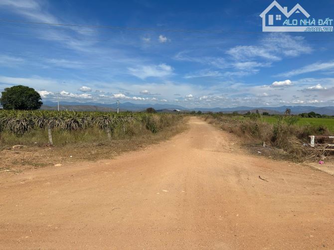 Đất trồng cây lâu năm 18ha gần nút giao cao tốc lương sơn bình thuận - 2