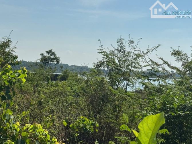 🔥🔥 SIÊU RẺ – 3.315,9m² ĐẤT KHOANG MÁI – SÁT CNC HÒA LẠC 🔥🔥 - 2
