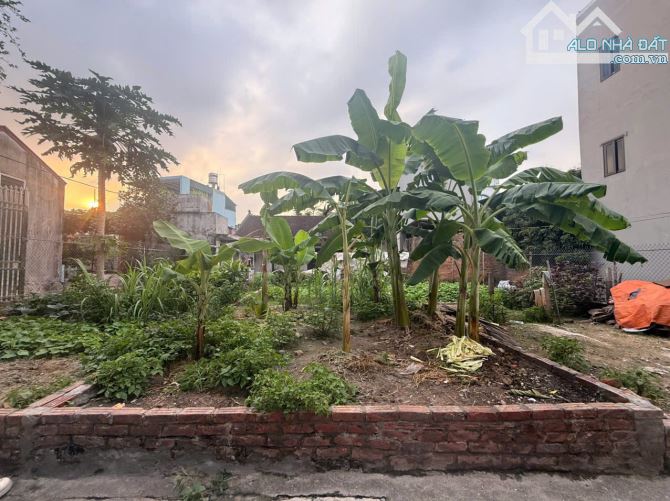 CHỈ VỚI 3 TỶ CÓ NGAY MẢNH ĐẤT TẠI VIỆT HÙNG ĐÔNG ANH - 2