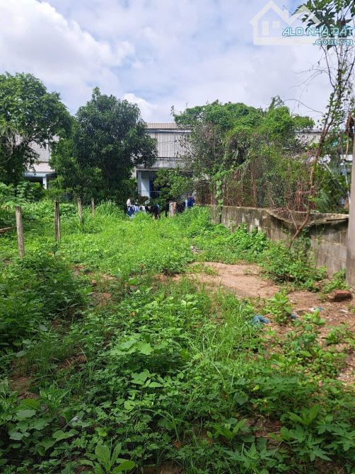 Bán nền đất đường Nguyễn An Ninh P Tân Đông Hiệp 114m2 giá đầu tư 2.95 tỷ - 2