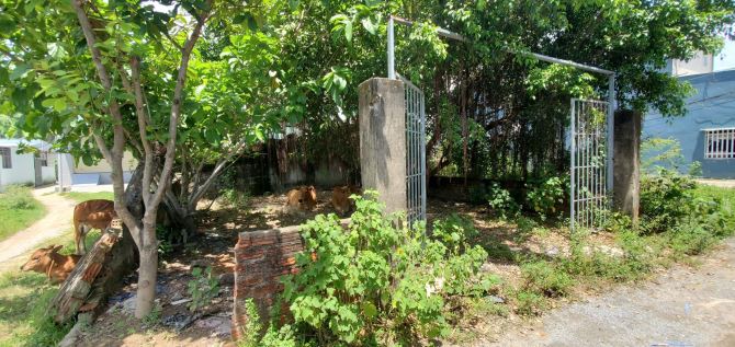 Bán đất 2 mặt kiệt, nở hậu, 127m2, ngang 6.7m, 2 tỷ 400, Đà Sơn 2, Liên Chiểu - 2