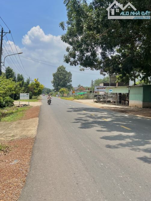 Mặt tiền Kinh Doanh Kho Xưởng DH504, diện tích 2435m2, Ngang 20met, Nở hậu 27 mét rất đẹp - 2