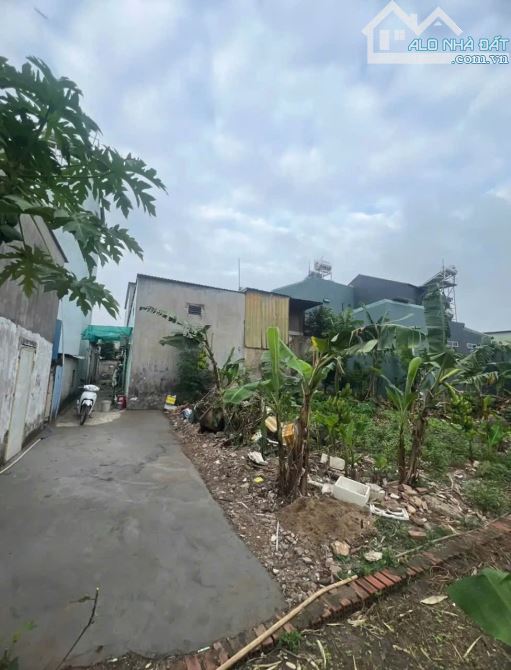Đất gần chợ Tân Bình, phường Tân Bình, TP Dĩ An - 2