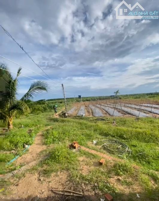 Bán 2.4 hecta đất Tân Hải - TX LaGi giá ngộp 120  triệu/ sào - 2