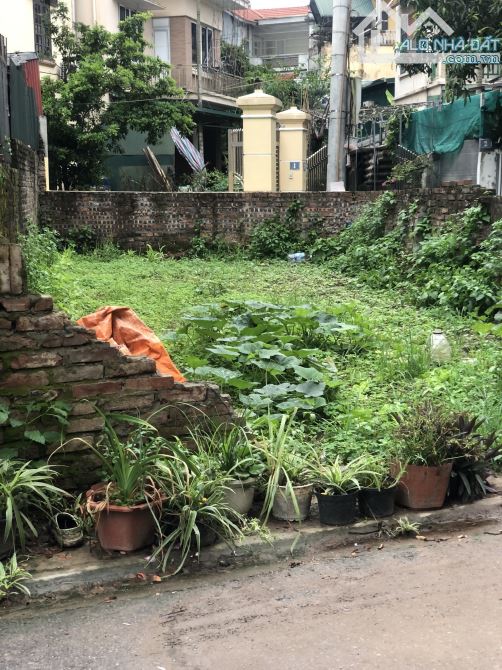 Siêu Phẩm Trâu Qùy Ô tô Vào 81m - Cách 15m ra Phố Ngô Xuân Quảng - giá hiếm chỉ 8.4 tỷ - 2