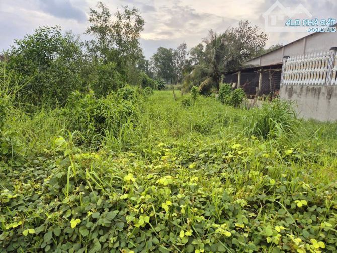 Bán đất 19.2 x 64.5m (1.245m2) Tân Phú, Đức Hòa, Long An giá 8.2 tỷ gần đường Hồ Chí Minh - 2