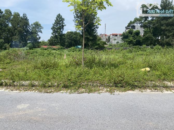 Bán đất lô góc khu đô thị Vpit Praza, Định Trung, Vĩnh Yên, Vĩnh Phúc - 2