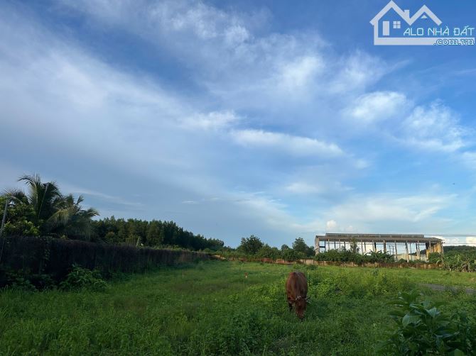 🌿 BÁN ĐẤT THỔ CƯ ẤP 6 – XÃ TRỊ AN, VĨNH CỬU 🌿 - 2