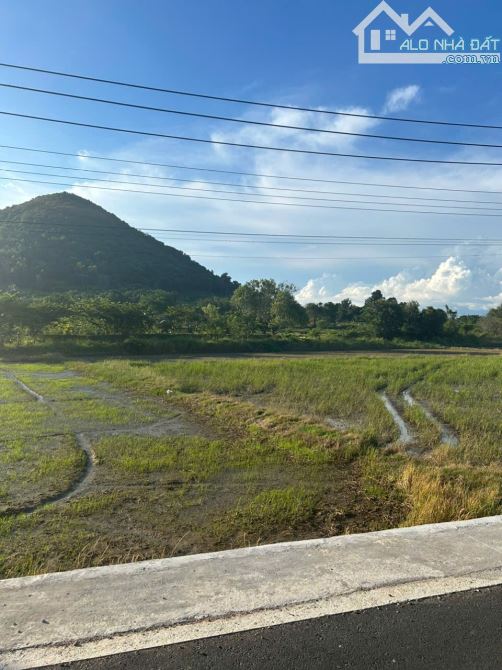 1482m2 Nguyễn Minh Châu Tân Tiến LaGi Đường Nhựa Giá Chỉ 1,8 Tỷ - 2