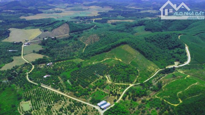 Bán Nhanh Lô Đất 30.527m² View Siêu Đẹp Khánh Nam – Khánh Vĩnh - 2