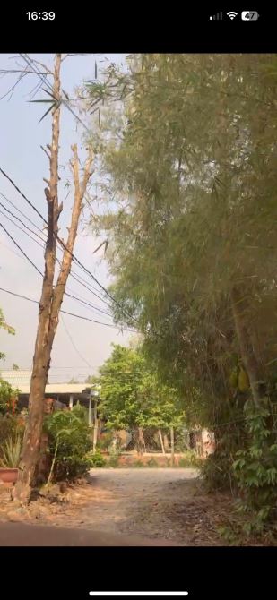 🌟 BÁN ĐẤT GẦN VINHOMES : TÂN MỸ – ĐỨC HÒA – LONG AN Giá: 4,8 triệu/m² – cơ hội hiếm có! - 2