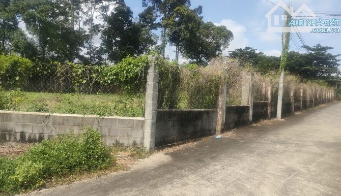 🔥 BÁN ĐẤT 2.767m² CÓ 100 THỔ - TẠI AN PHƯỚC, LONG THÀNH – GIÁ 13 TỶ 🔥 - 2