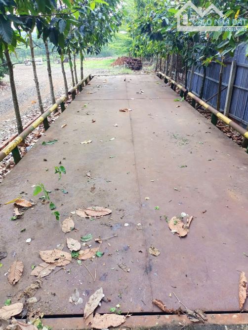Xưởng Đông Hoà Trảng Bom 7600m2 TBA 225kva Trạm Cân 80T Xa Dân Xe Cont Di Chuyển - 2