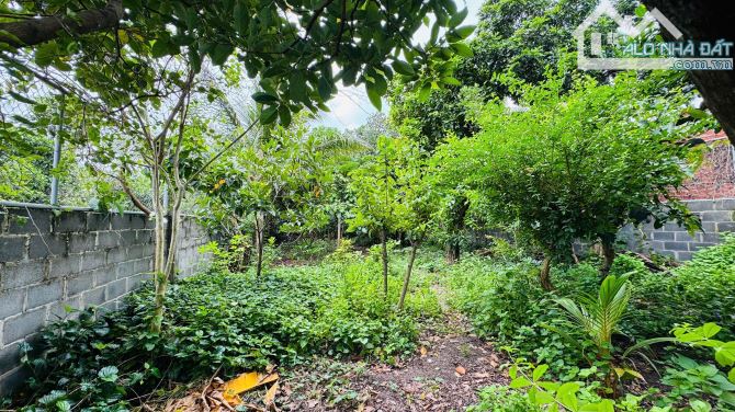 LÊN CĂN NHÀ VƯỜN 442M VIEW NÚI  XÃ LONG ĐIỀN - TP HCM  📐Dt 10x44-442m sẵn 100m thổ cư  🏡 - 2