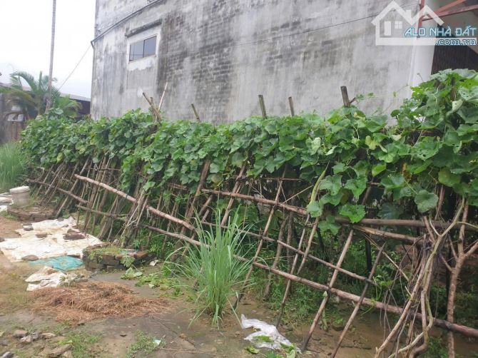 Cần bán lô đất ở Thôn Đồng Sầm, xã Nhuận Trạch. - 2
