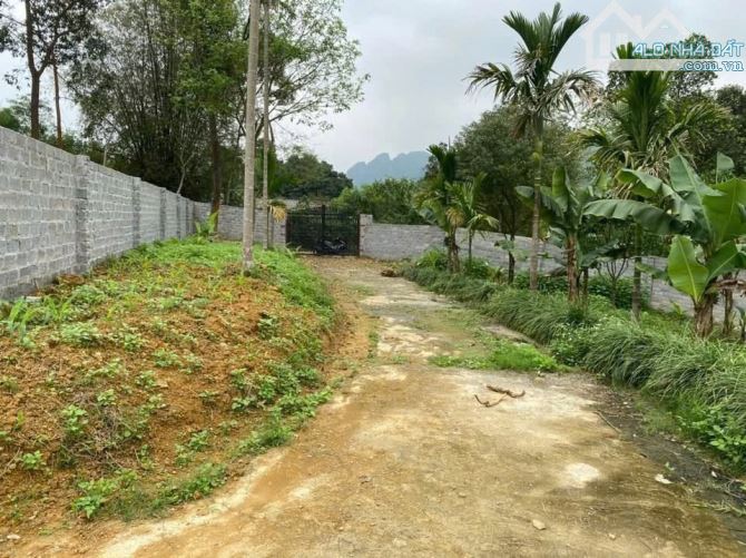 Chỉ hơn 2 triệu! 3.871m² lô góc 2 mặt đường, đường 7m, view toàn bộ cánh đồng - 2