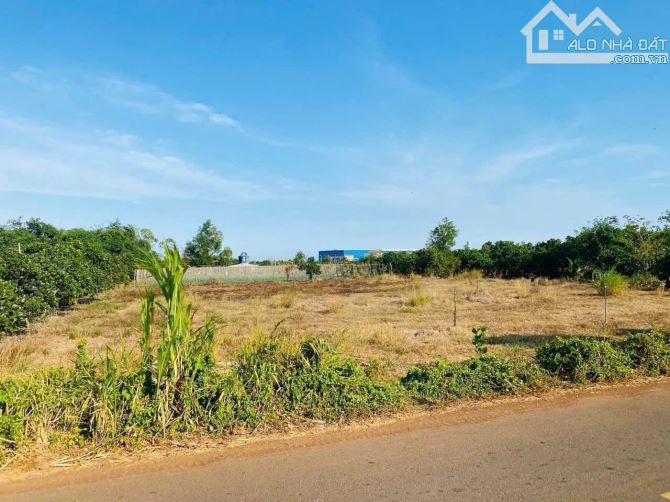 Xả gấp e cực đẹp- MẶT TIỀN PHẠM HÙNG- NGAY CỔNG KHU CÔNG NGHIỆP - ĐẤT ĐỎ - BRVT - 2