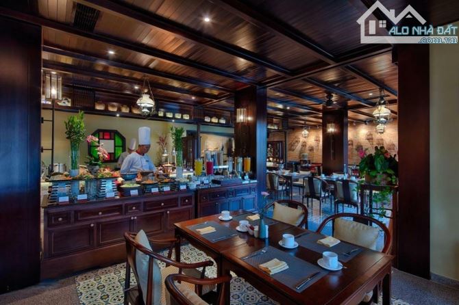 Siêu Phẩm Đầu Tư: Khách Sạn & Spa Resort 7 Tầng Trung Tâm Hội An – Hồ Bơi Vô Cực, 80 Phòng - 2