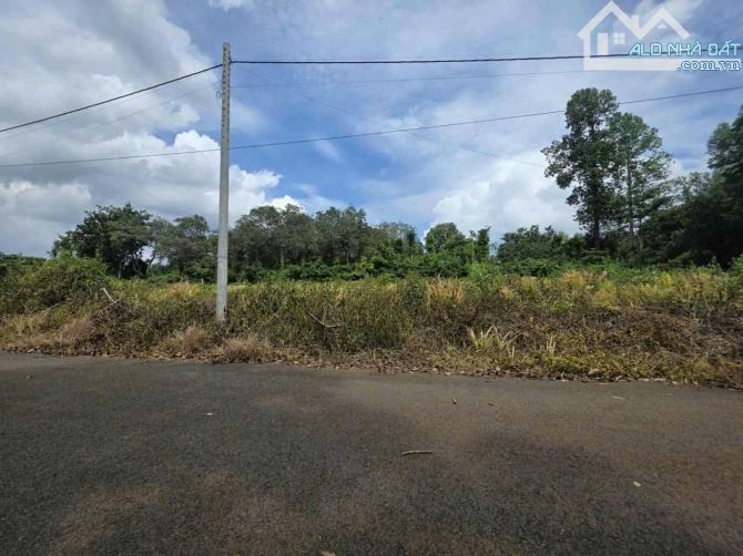 Bán 148m2 (5x29m) thổ cư Láng Lớn, Châu Đức - 2