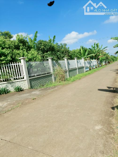 Bán 1000m2 đất cẩm đường ngang 10m cạnh sân bay Long Thành - 4