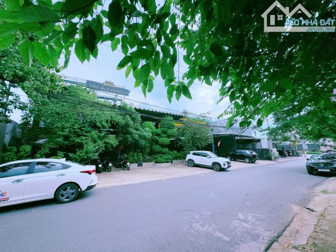 Bán lô đất gần bệnh viện Đồng Nai, Bình Đa, Biên Hòa, 1000m2, giá 19 tỷ 500 (19tr/m2) - 3