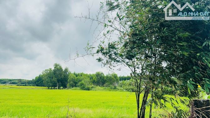 NHÀ VƯỜN SUM SUÊ GẦN 3000M2 ĐẤT ĐỎ- HCM🏝️🏝️🏝️ 🌈🌈GIÁ BÁN: 10TỶ TL🌈🌈 ---- 🌈Dt: 2715m - 3