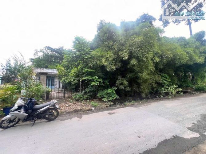 ĐẤT 2 MẶT TIỀN – TÂN THẠNH ĐÔNG, CỦ CHI Diện tích: 17 x 42m - 3
