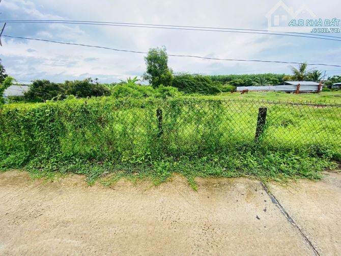 🌟 SIÊU PHẨM gần 1100m2 ĐẤT PHƯỚC HẢI – GIÁ CHỈ 4 TỶ 🌟  📍 Vị trí: Khu biệt thự Phan Gia - 3