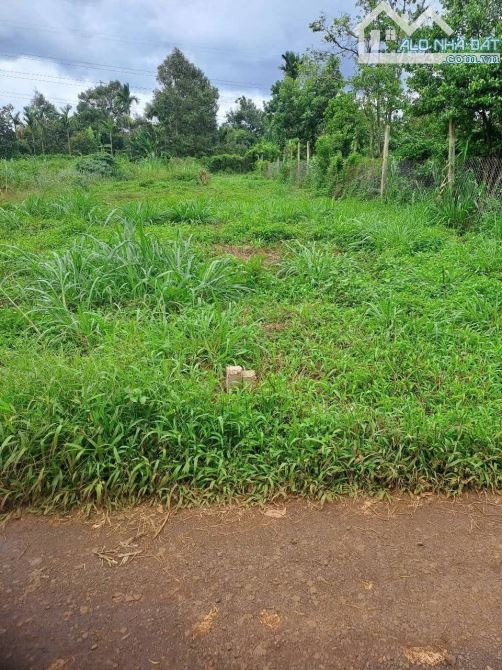 Bán Lô Đất Ở Cuôc Đăng Giá Rẻ Gần Quốc Lộ 14 - 3