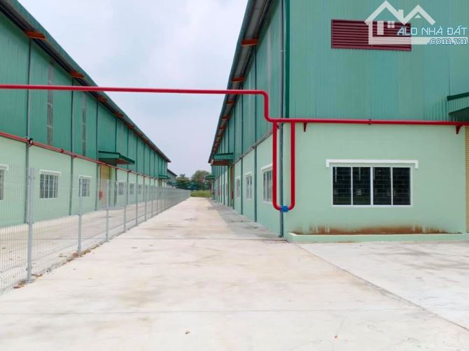CHO THUÊ KHO, NHÀ XƯỞNG TỪ 200M² ĐẾN 4500M² TẠI HÒA KHÁNH, LIÊN CHIỂU – GIÁ TỐT CHỈ TỪ 47K - 3
